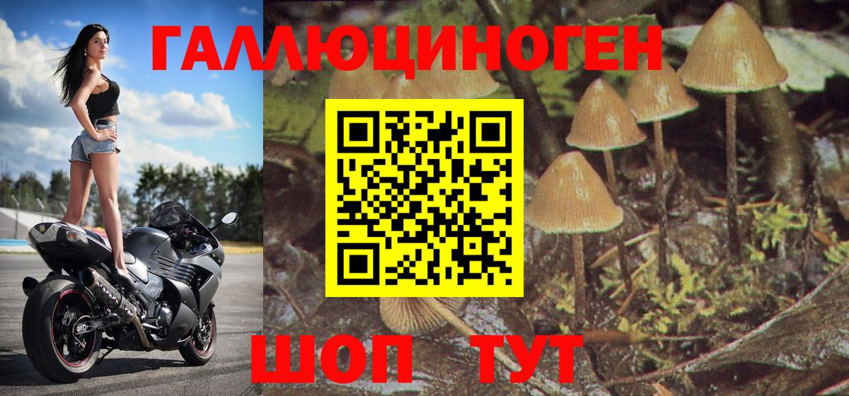 как найти   Псилоцибиновые грибы GOLDEN TEACHER  Вход с VPN  Бутурлиновка 